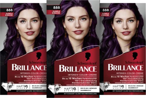 Brillance Intensiv-Color-Creme 888 Dunkle Kirsche (160 ml), dauerhafte Haarfarbe mit Diamant-Glanz und Pflege-Conditioner, für 10 Wochen Farbintensität