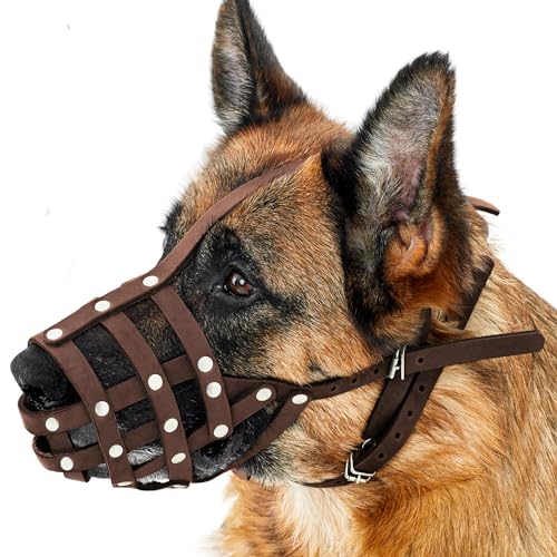 CollarDirect Maulkorb für Hunde, Deutscher Schäferhund, Dalmatiner, Dobermann, Setter, Lederkorb, mittelgroß, für große Rassen, Schwarzbraun (M, Kastanienbraun)