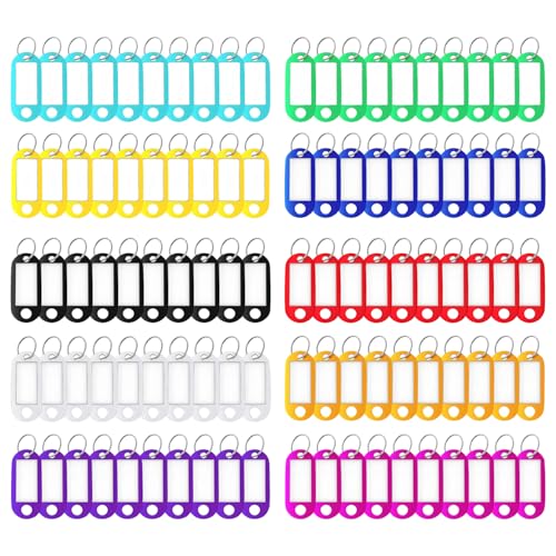 Schlüsselanhänger mit beschreibbaren Etiketten, Kunststoff-Schlüsselanhänger mit Schlaufen, 10 Farben austauschbar (100)