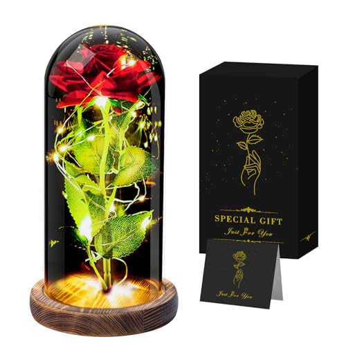 Ewige Rose,Rose im Glas mit licht,Infinity Rose,Romantische Geschenk für Freundin,Ehefrau,Junge Frauen,Schwiegermutter, Mama,Oma Schwester, Weihnachten Geschenke Ideen