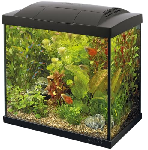 SuperFish SF Tropical Set 30 Aquarium schwarz inkl. Filter, Heizer, Wasseraufbereiter, Kescher, Thermometer und Futter