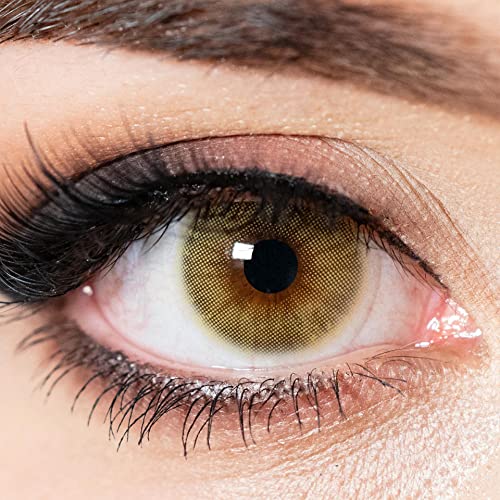 Kontaktlinsen farbig ohne Stärke hellbraun | farbige Halb-Jahreslinsen bernstein | weiche Linsen Hydrogel | 2 Stück Farblinsen + Linsenbehälter | 0.0 Dioptrien | natürliche Farben | Charmiga Amber