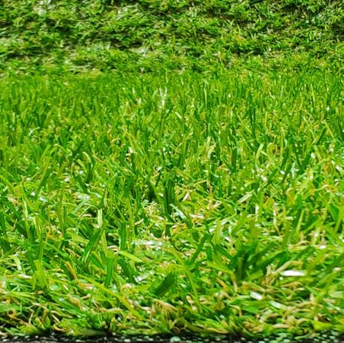 Tadi & Imperio1979 Rolle Kunstrasen, Teppich für Terrasse oder Garten, 20 mm Höhe, (150 x 200 cm)