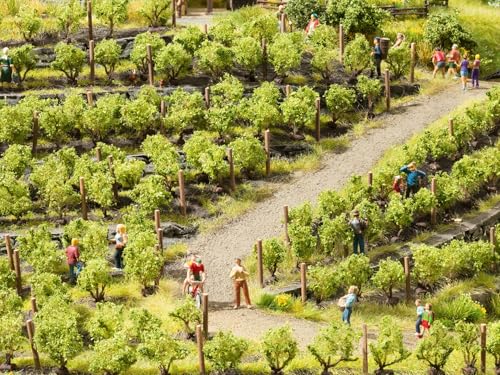 NOCH® Weinreben, 24 Rebstöcke, 2,2 cm hoch für Modellbau, ideal für H0, TT und kreative DIY-Projekte