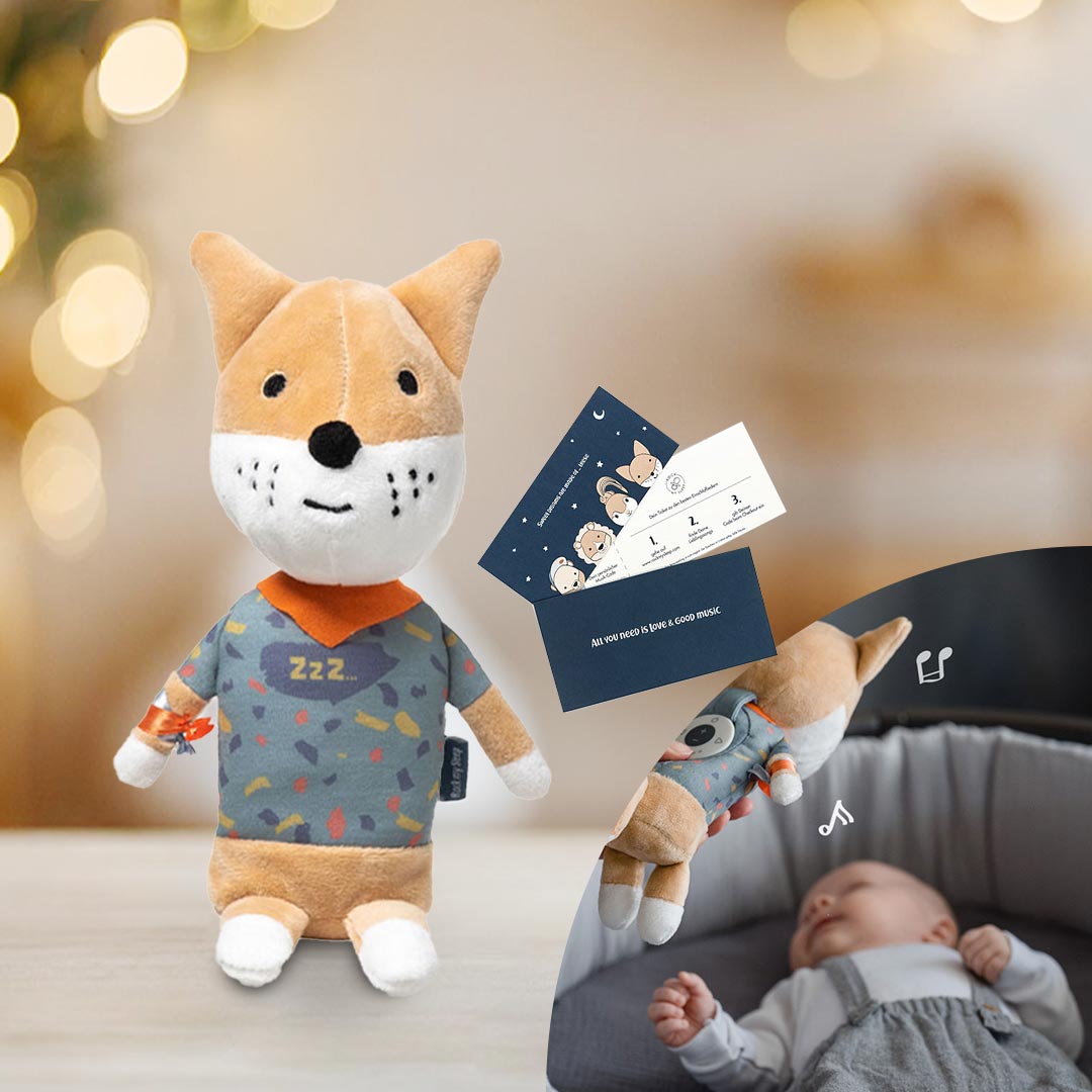 Rock my Sleep Spieluhr mit Deinen Lieblingssongs