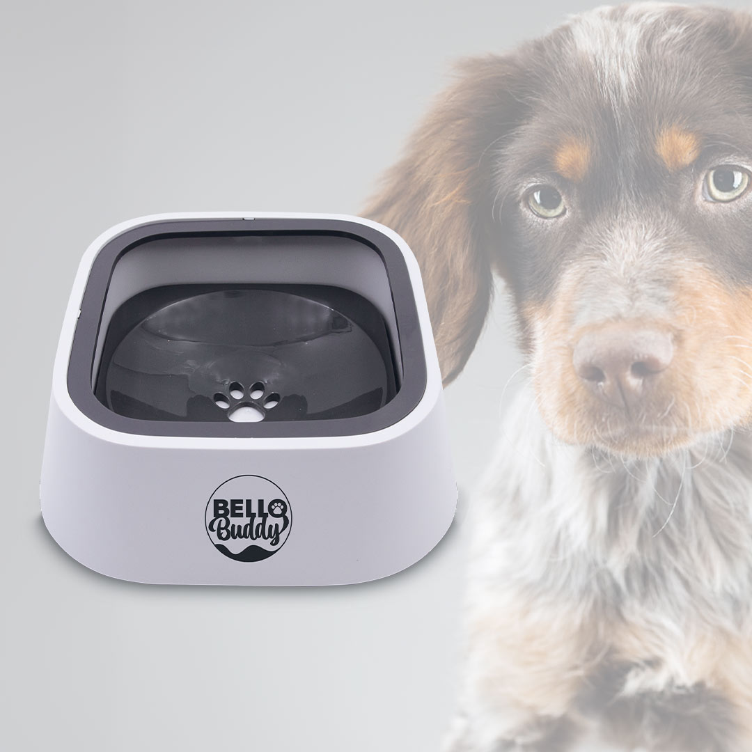 BelloBuddy Wassernapf für Hunde