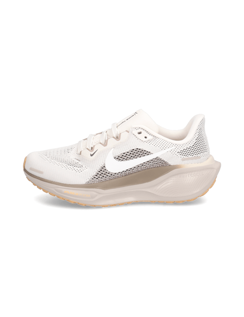 Nike Nike Pegasus 41