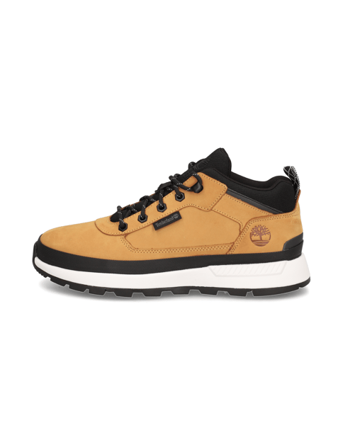 Timberland FIELD TREKKER LOW LACE