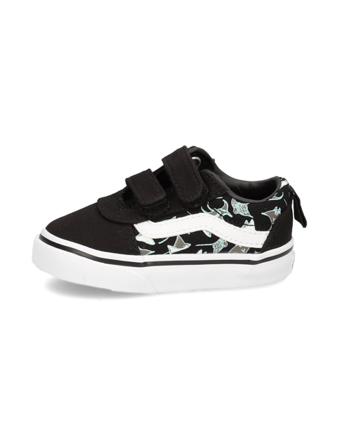 Vans WARD V