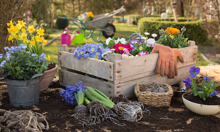 Gartenbedarf auf Raten kaufen